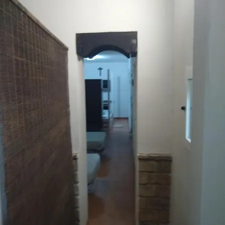 El Naranjo * Seville